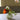 ReUse Bird Vase